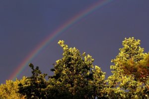 mir_zu_liebe_regenbogen